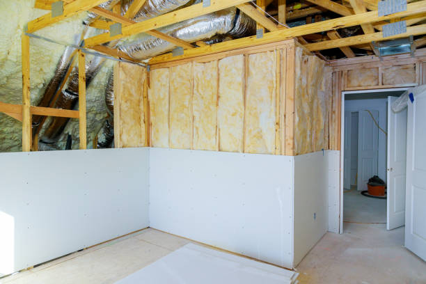 Best Spray Foam Insulation  in Woodruff, SC