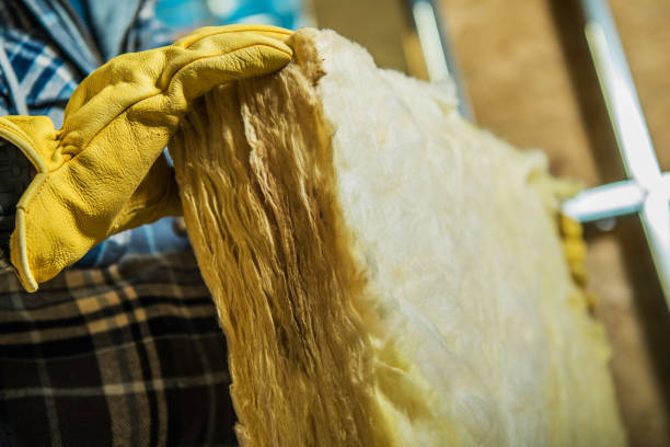 Best Fiberglass Insulation  in Woodruff, SC