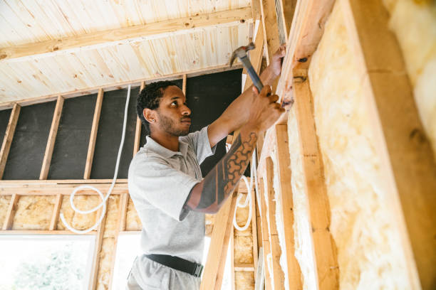 Best Cellulose Insulation  in Woodruff, SC